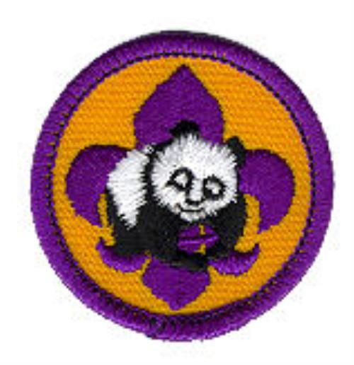 Uniforms – Cub Scout Pack 4